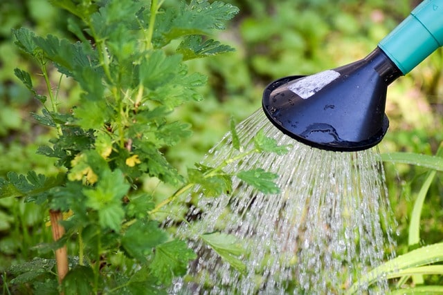 Na regen komt zonneschijn: tips tegen warmte